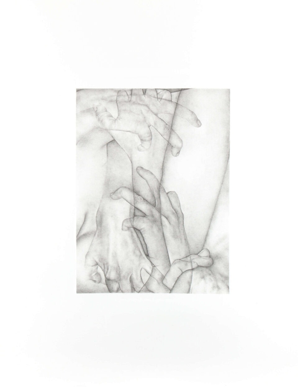 D5 2020 Graphite sur papier Velin 50x65 cm Collection particulière