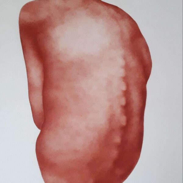 DR4 2023 Sanguine sur papier 117x180 cm