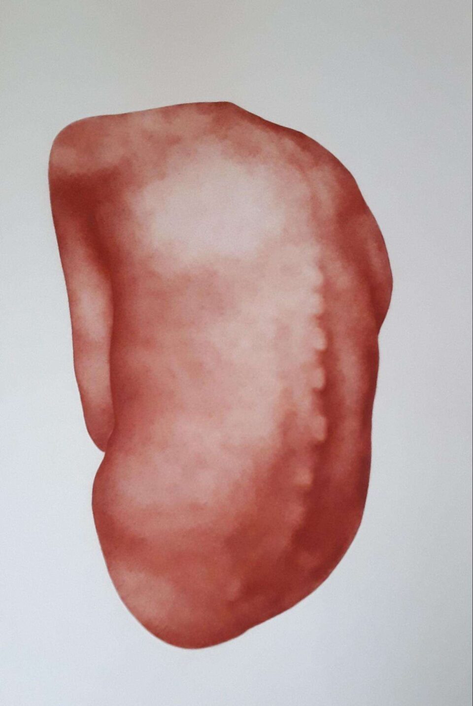 DR4 2023 Sanguine sur papier 117x180 cm