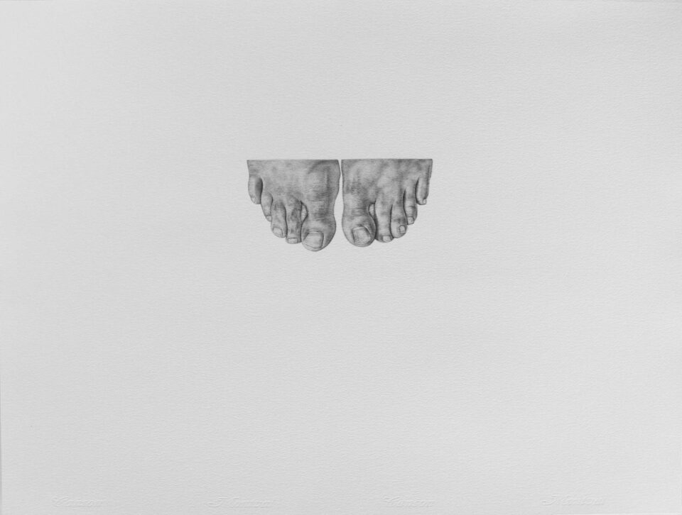 Graphite sur papier Ensemble de 10 dessins (50x65 cm) En installation dimensions variables (4)