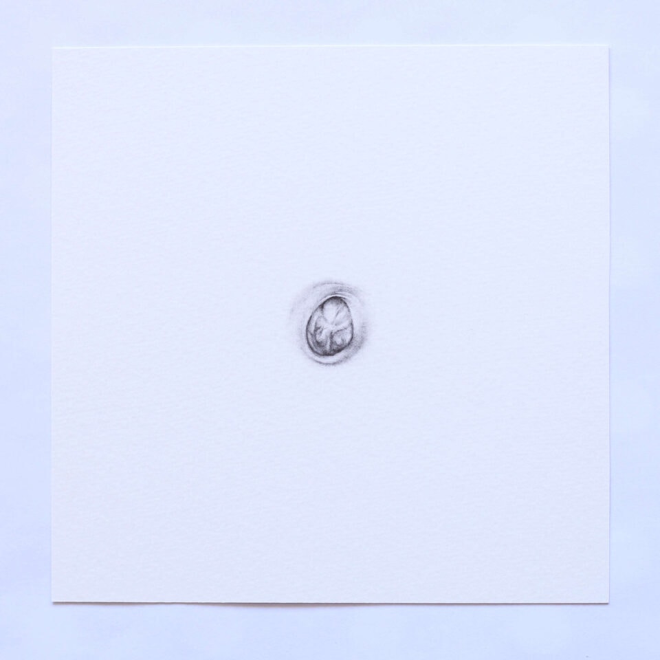 N Extrait d'une série de 30 dessins graphite sur papier 20x20 cm chaque (17)