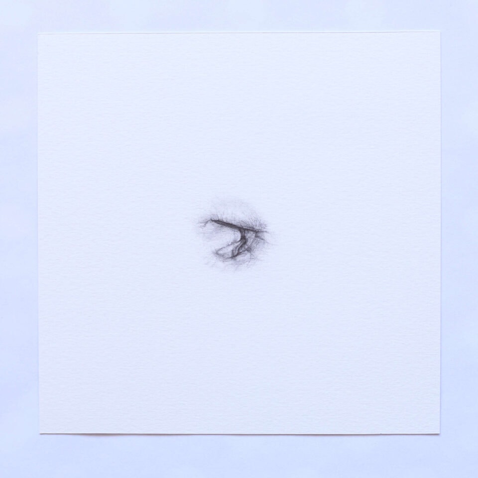 N Extrait d'une série de 30 dessins graphite sur papier 20x20 cm chaque (18)