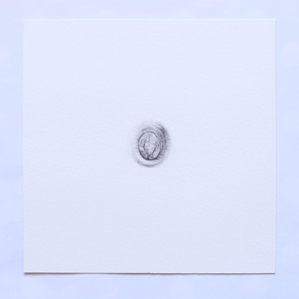 N Extrait d'une série de 30 dessins graphite sur papier 20x20 cm chaque (30)