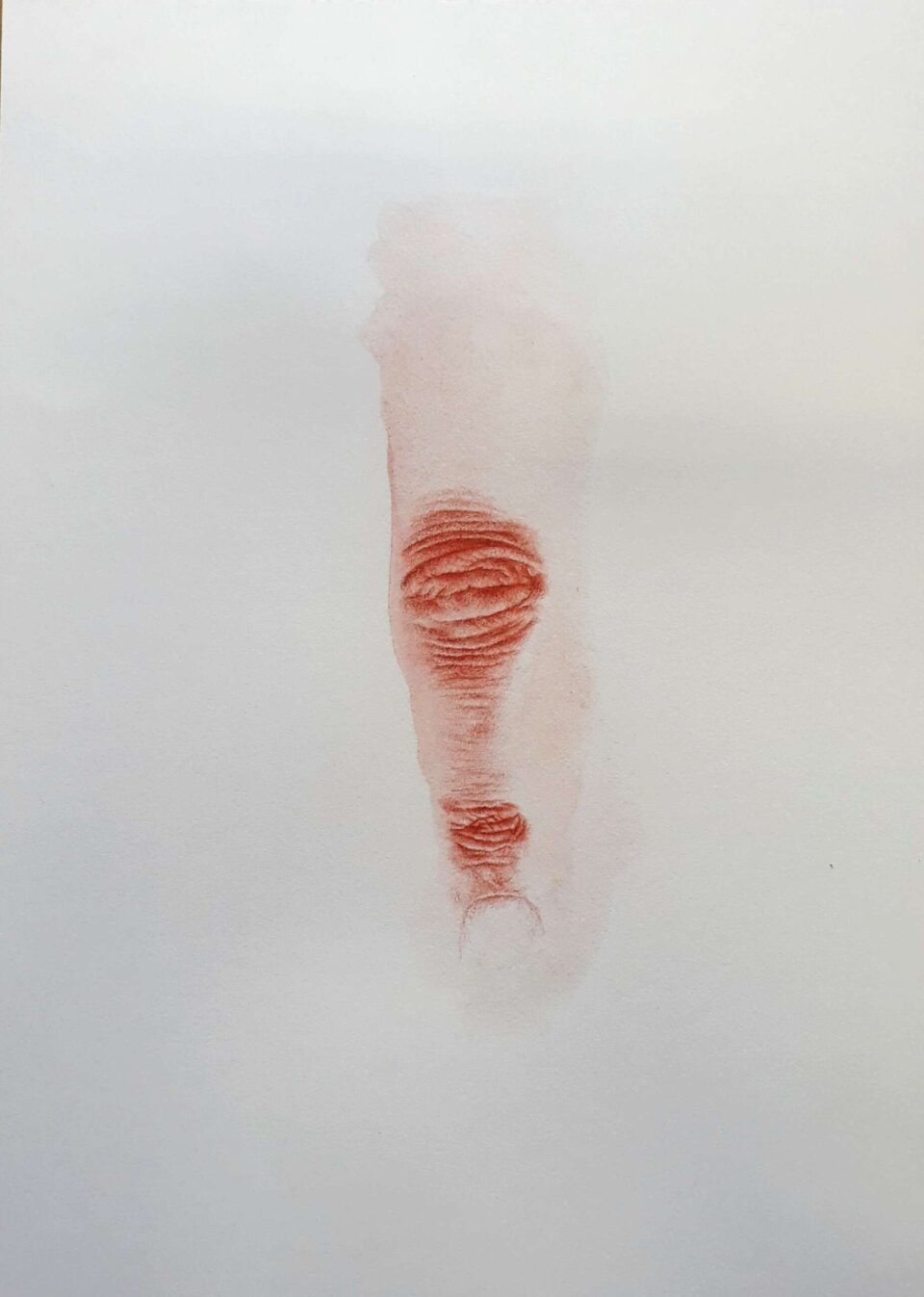 NG1 2022 Sanguine, aquarelle et crayon de couleur sur papier 21x29,7 cm