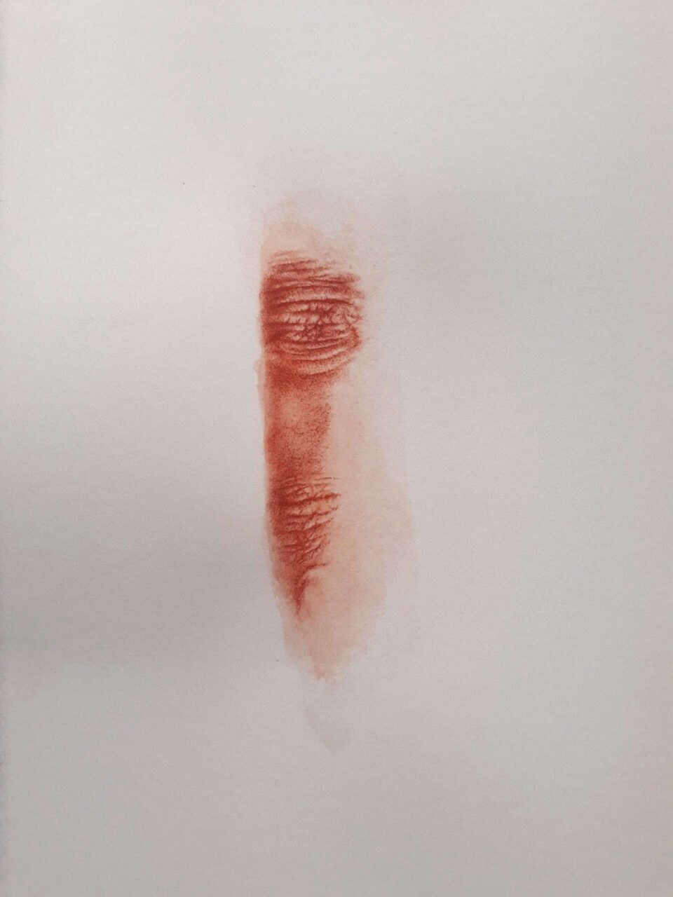 NG3 2022 Sanguine, aquarelle et crayon de couleur sur papier 21x29,7 cm