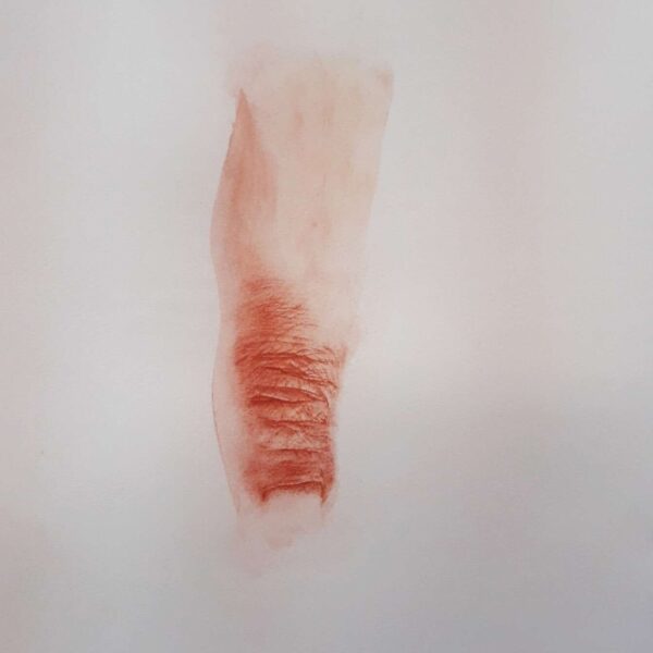 NG4 2022 Sanguine, aquarelle et crayon de couleur sur papier 21x29,7 cm