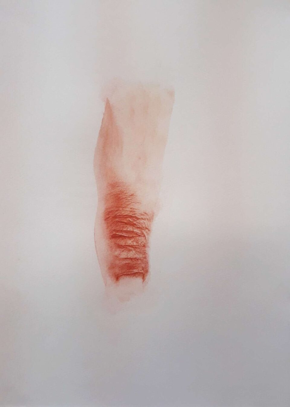 NG4 2022 Sanguine, aquarelle et crayon de couleur sur papier 21x29,7 cm