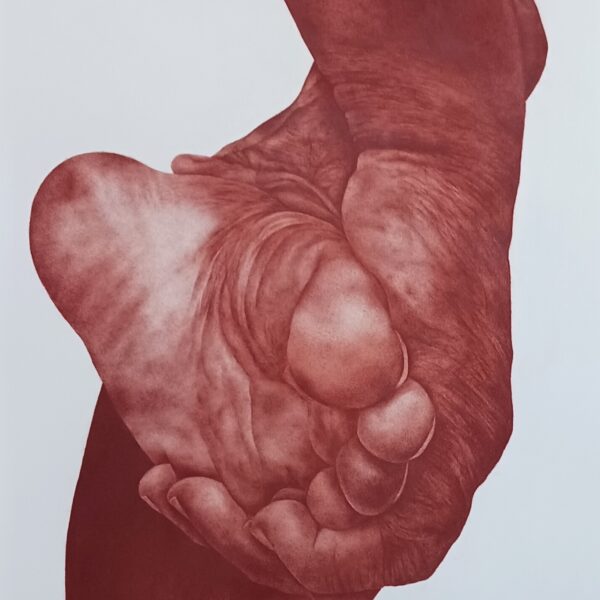 Big Reda 2 2023 Sanguine sur papier 110 x 160 cm